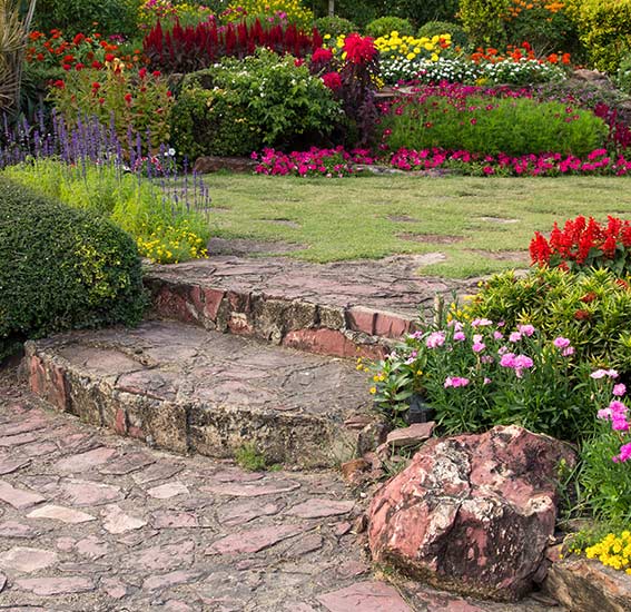 Jardin avec pelouse et fleurs